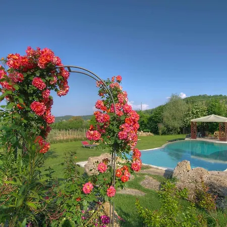 Cozzani * Montepulciano Stazione