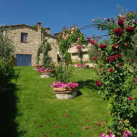 Cozzani * Montepulciano Stazione